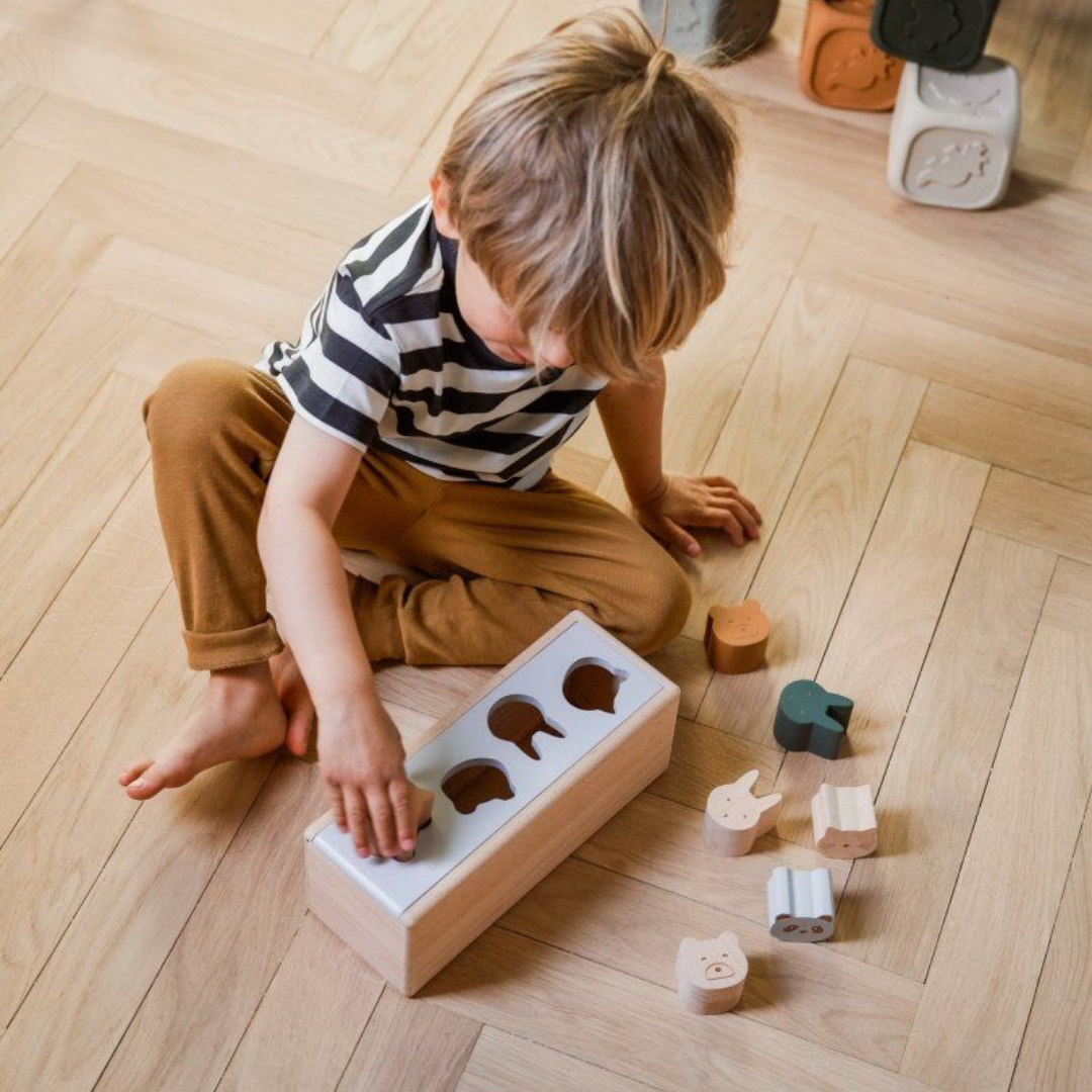 Child Playing With Toys During Occupational Therapy Assessment